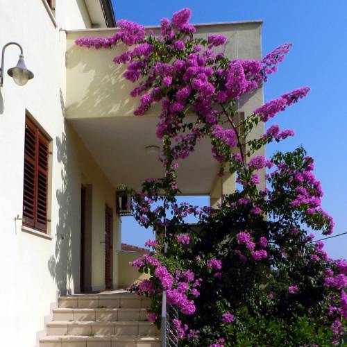 Premantura Codice promozionale Croatia Booking.com