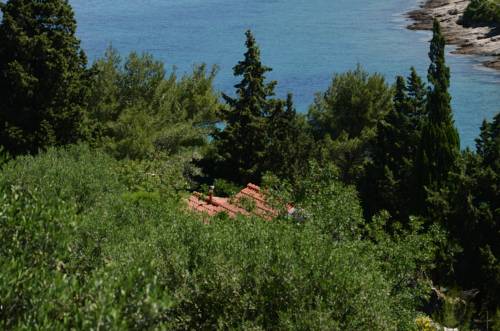 Postire Croatia Promo Code Booking.com
