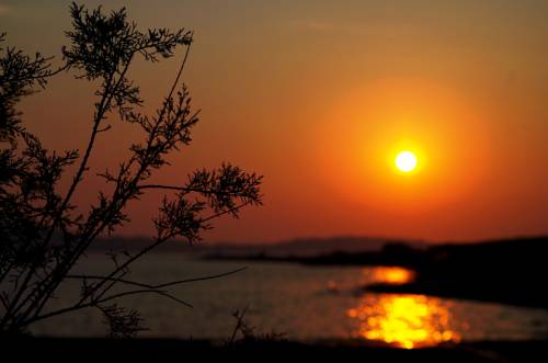 Jadrija Codice promozionale Croatia Booking.com