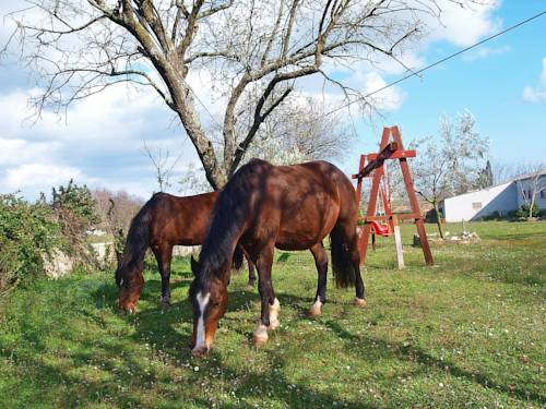 Krnica Codice promozionale Croatia Booking.com