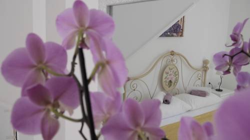 Fasana Codice promozionale Croatia Booking.com