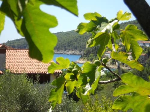 Labin Croatia Promo Code Booking.com