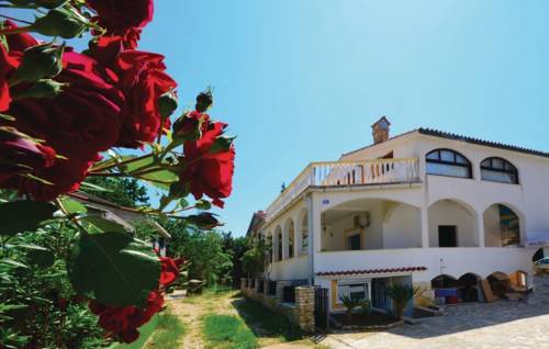 Bosana Codice promozionale Croatia Booking.com