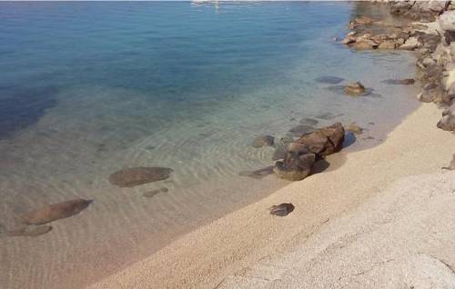 Vlasici Codice promozionale Croatia Booking.com