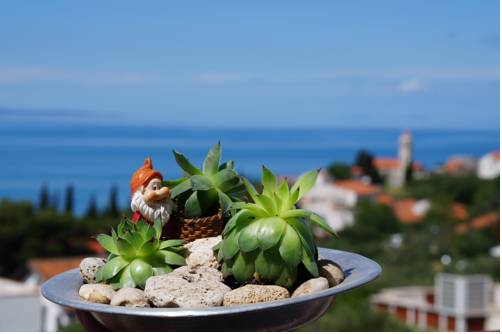 Gradac Codice promozionale Croatia Booking.com